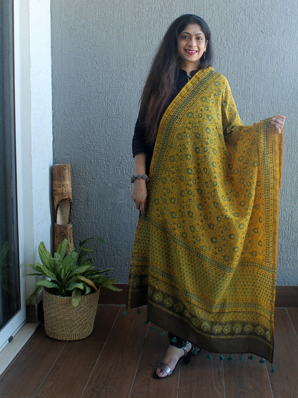 Ajrakh Hand Block Printed Chanderi Cotton Silk Dupatta