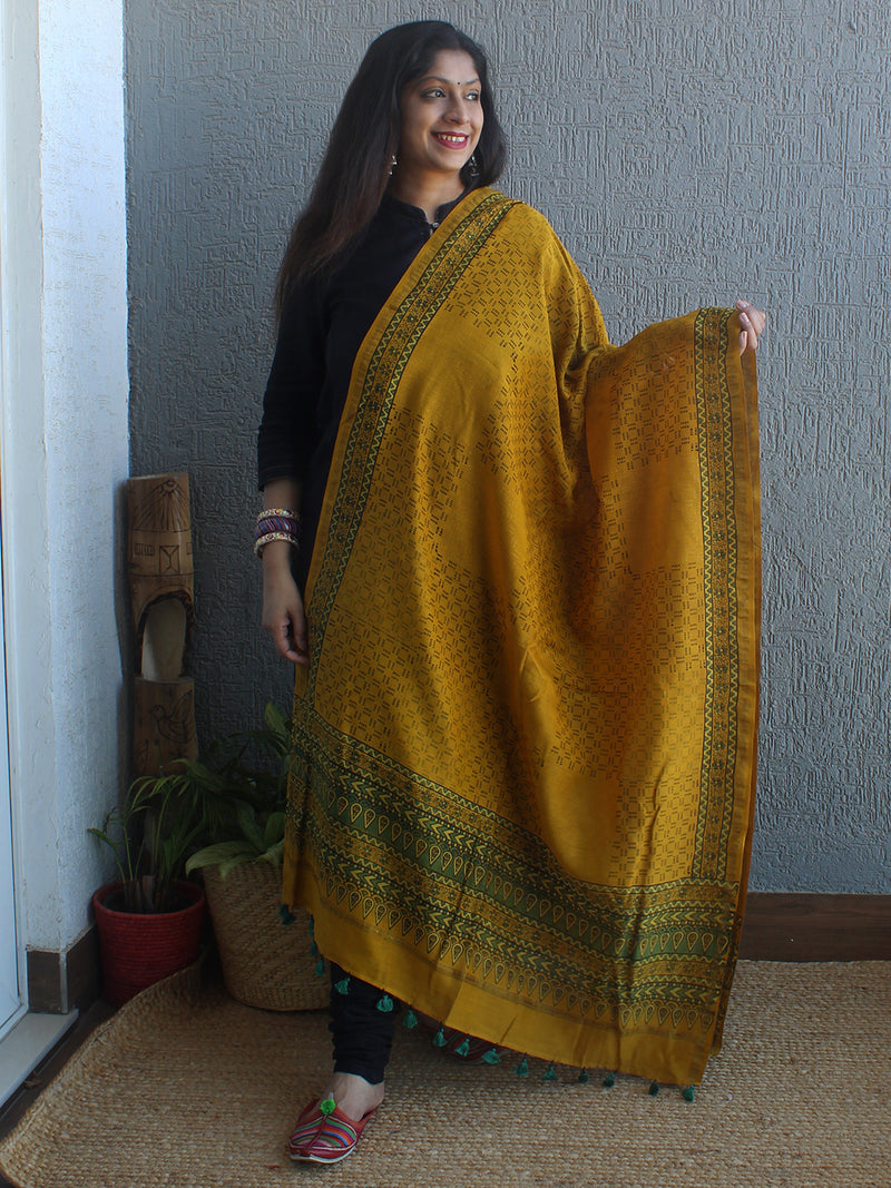 Ajrakh Hand Block Printed Chanderi Cotton Silk Dupatta